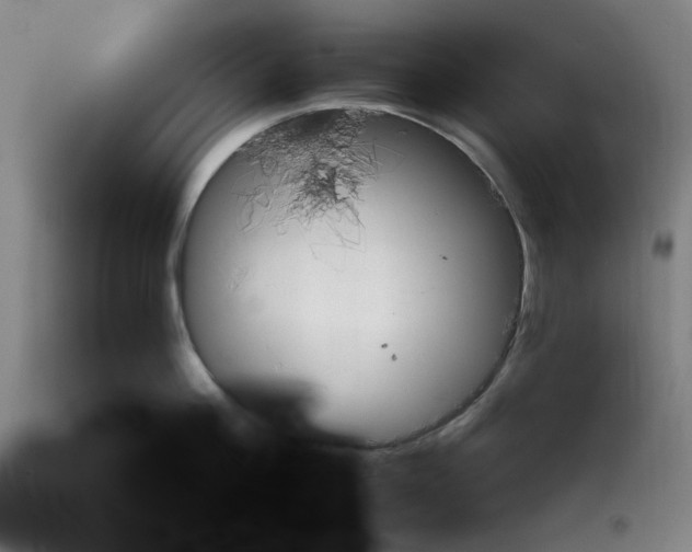 X0000113160812200909251350