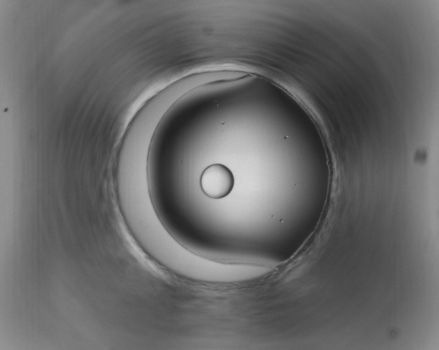 X0000113160813200909251350