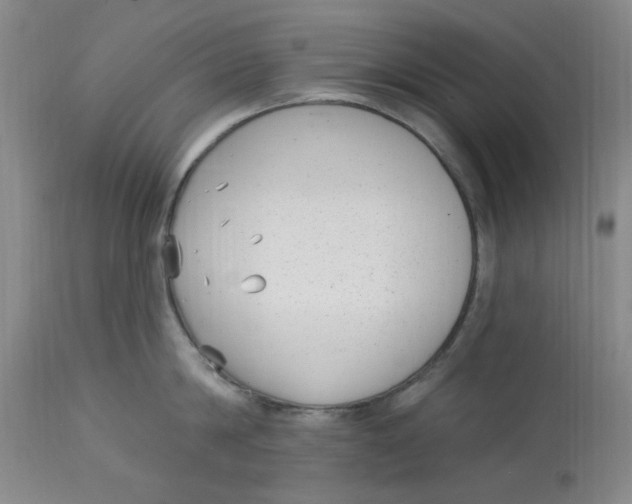 X0000113160814200909251350