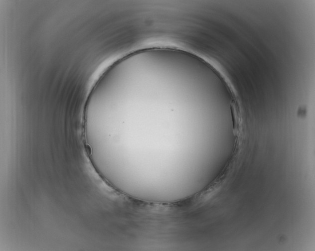 X0000113160815200909251350