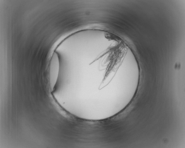 X0000113160816200909251350