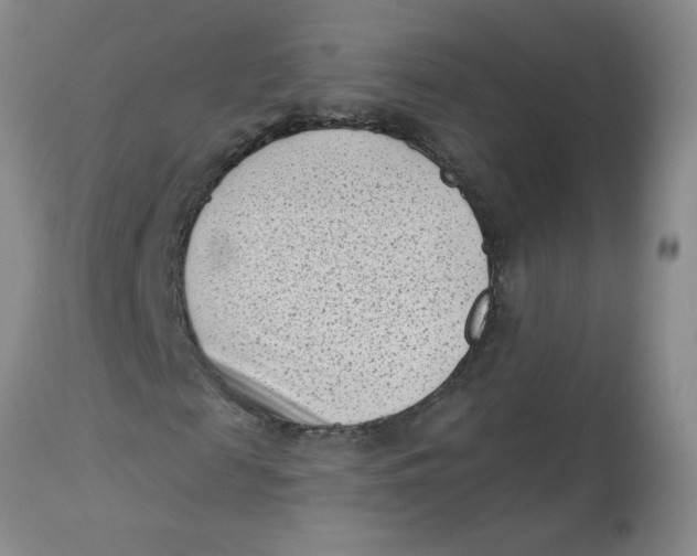 X0000113160817200909251349