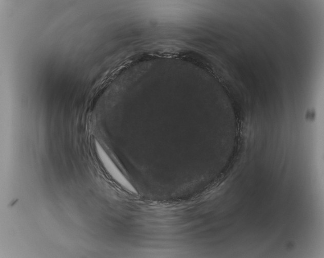 X0000113160818200909251349