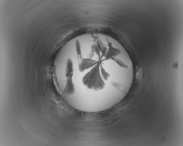 X0000113160819200909251349