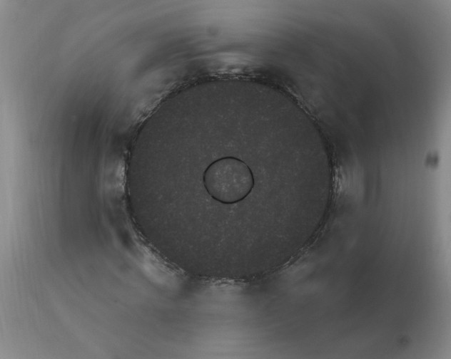 X0000113160820200909251349