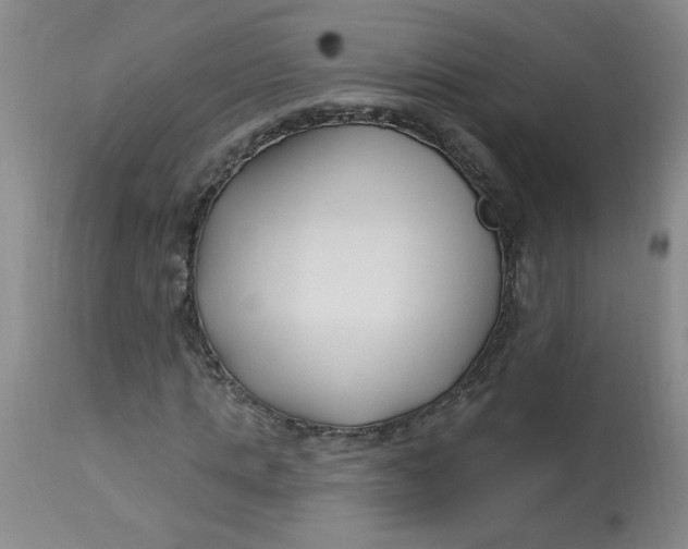 X0000113160821200909251349