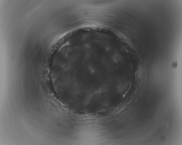 X0000113160822200909251349