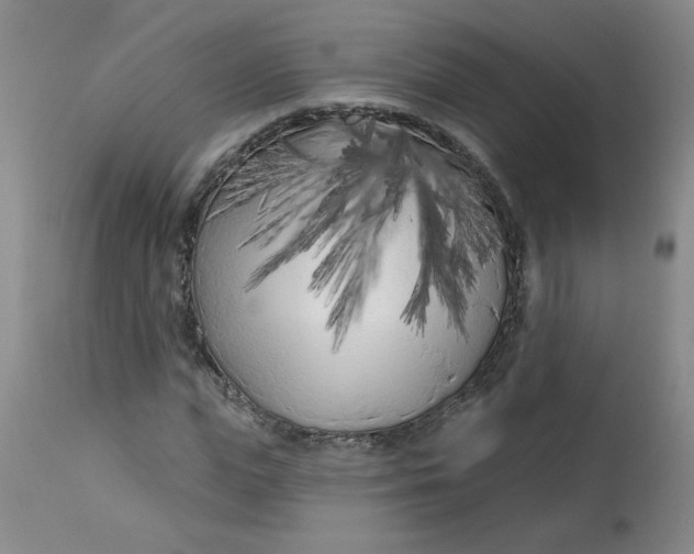 X0000113160823200909251350