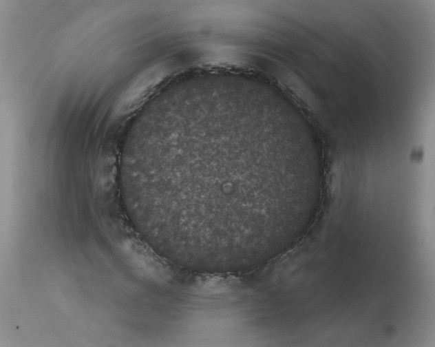 X0000113160824200909251350