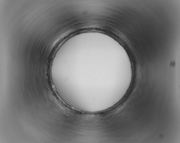 X0000113160826200909251350