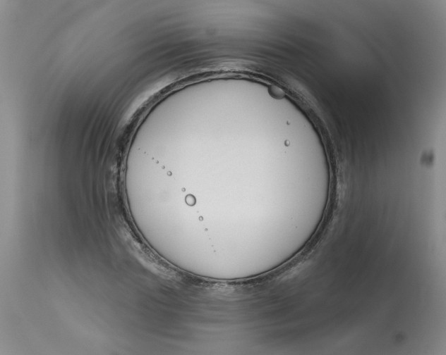 X0000113160827200909251350