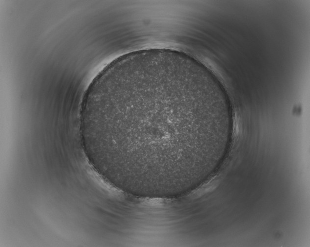 X0000113160828200909251350