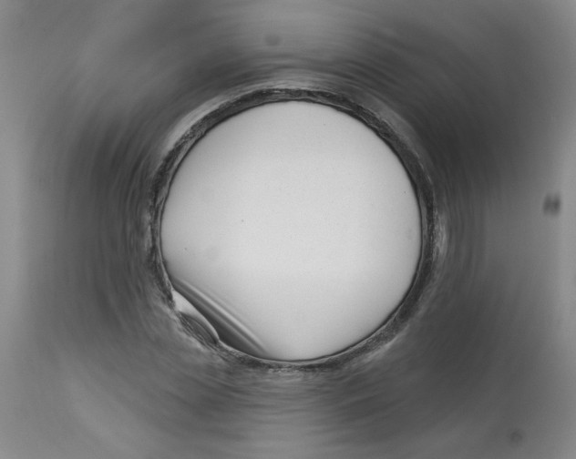 X0000113160829200909251350