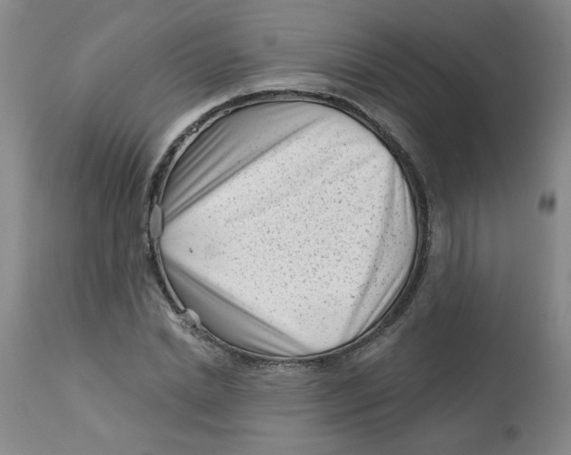 X0000113160830200909251350