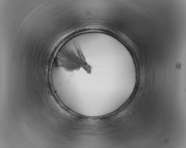 X0000113160831200909251350