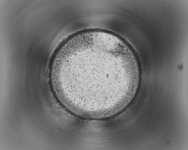 X0000113160832200909251350