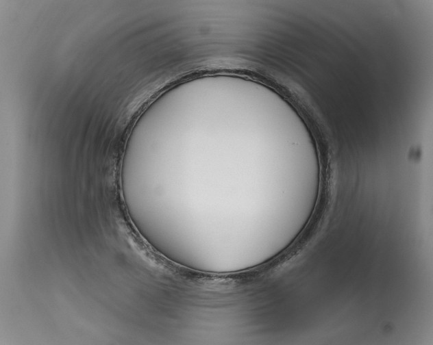 X0000113160833200909251350