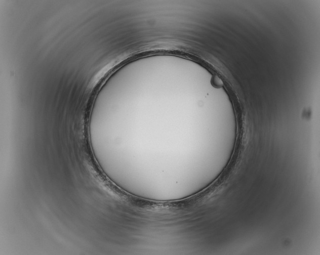 X0000113160834200909251350