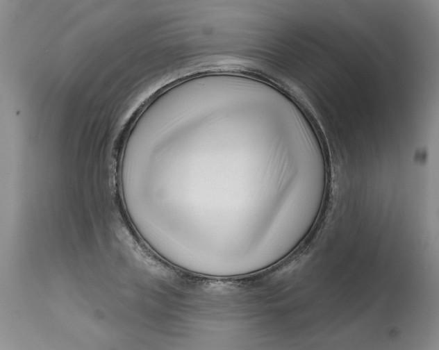 X0000113160835200909251350