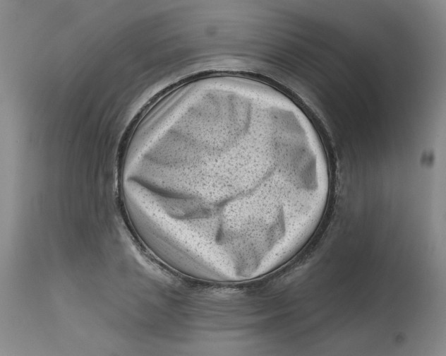 X0000113160837200909251350