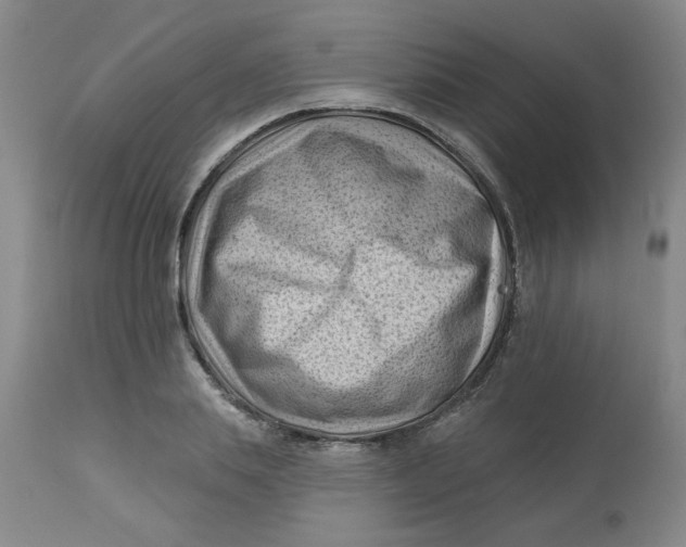 X0000113160839200909251350