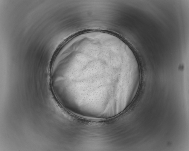 X0000113160840200909251350