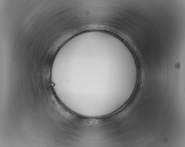 X0000113160841200909251350