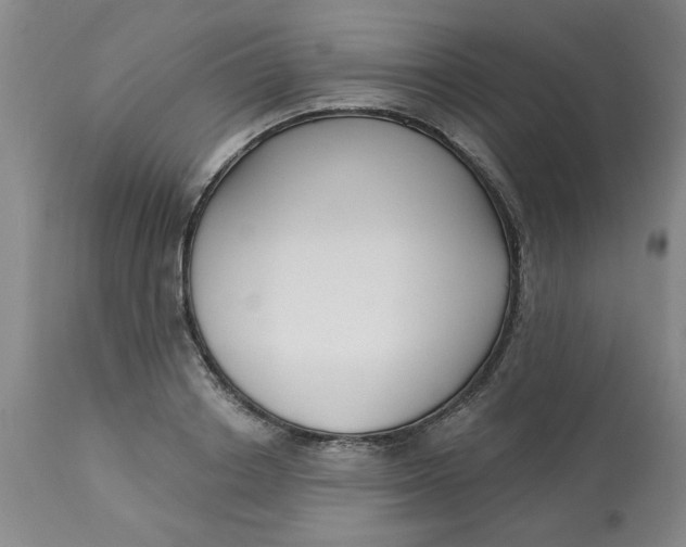 X0000113160842200909251350