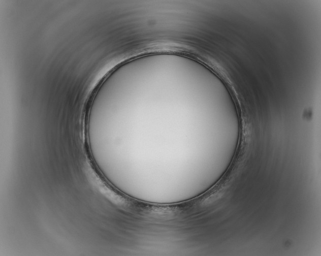 X0000113160843200909251350