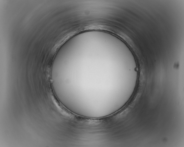 X0000113160849200909251350