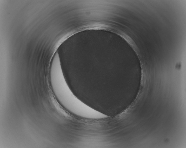 X0000113160850200909251350