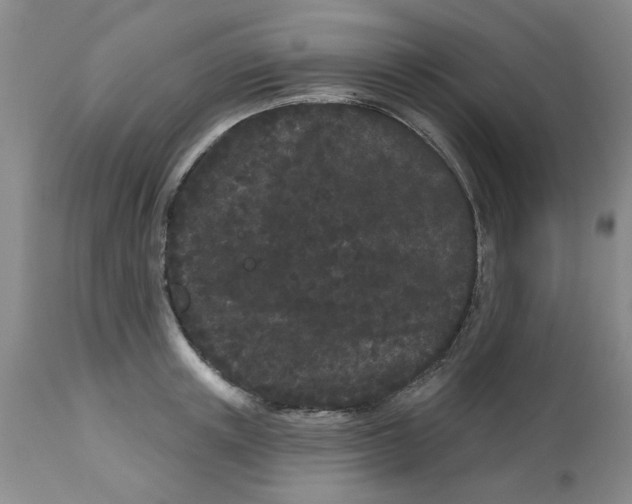 X0000113160851200909251350