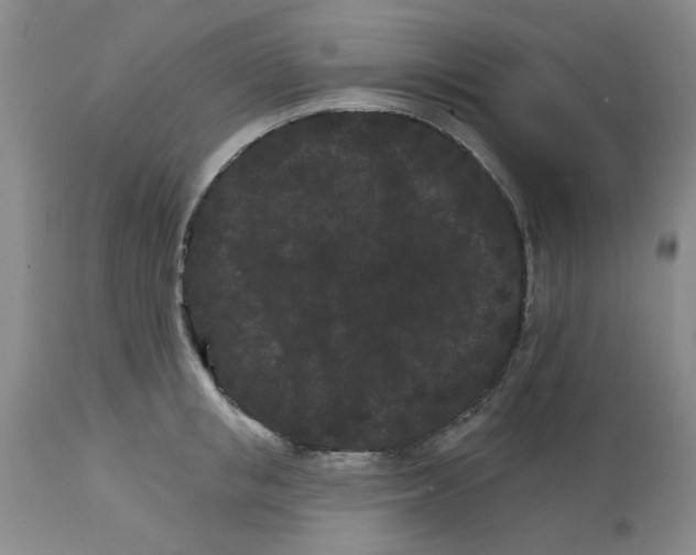 X0000113160853200909251350