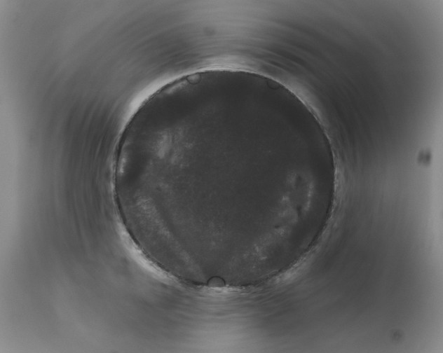 X0000113160854200909251350