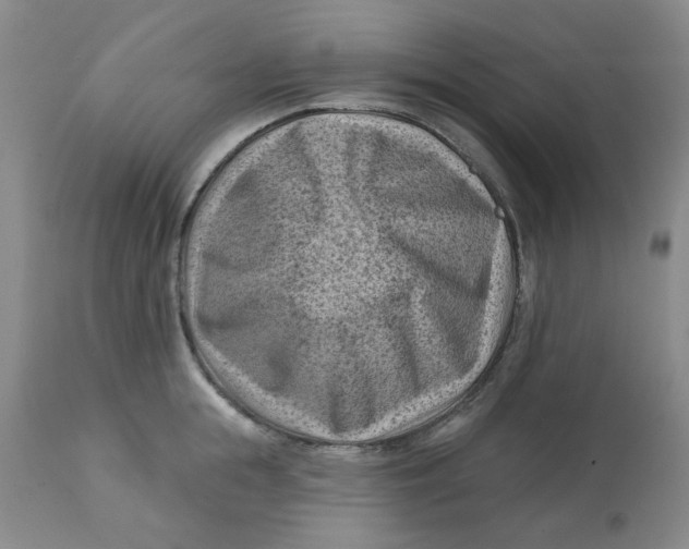 X0000113160855200909251350