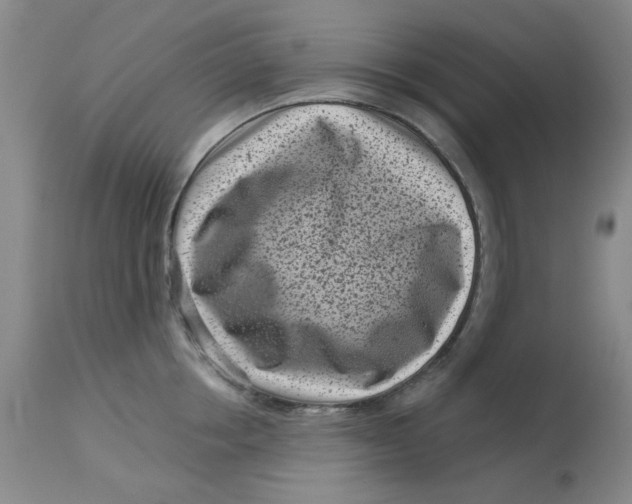 X0000113160858200909251350