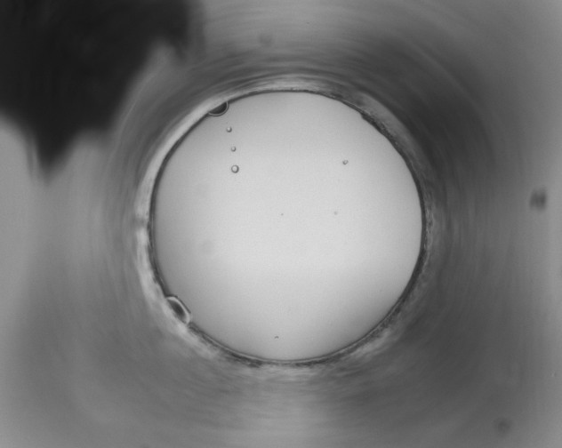 X0000113160860200909251350