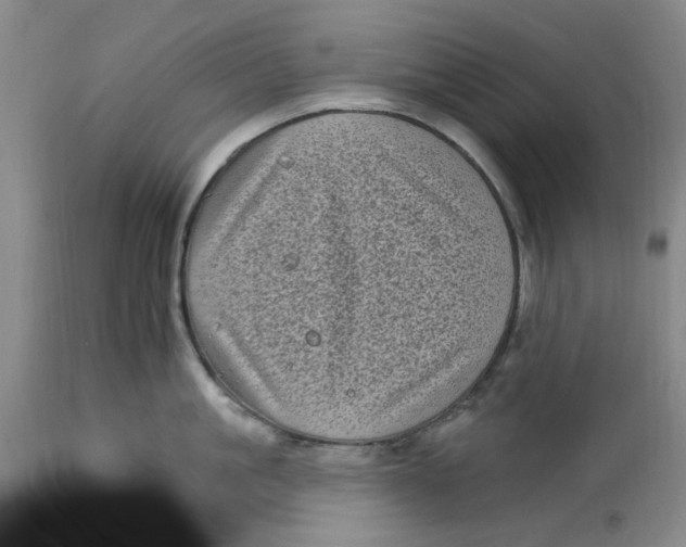 X0000113160861200909251350