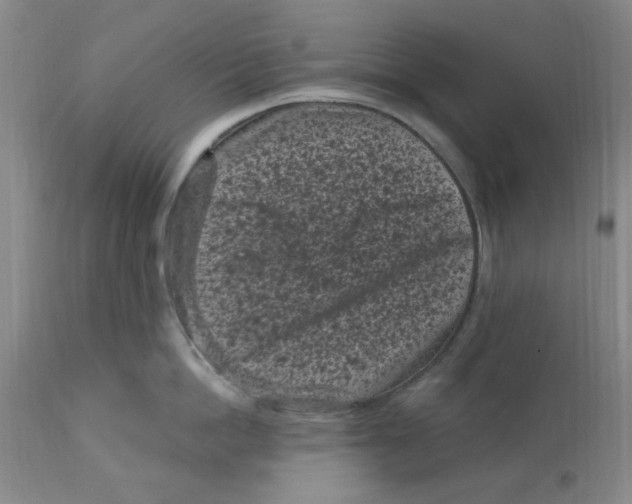 X0000113160862200909251350