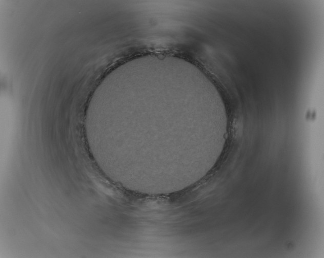 X0000113160865200909251349