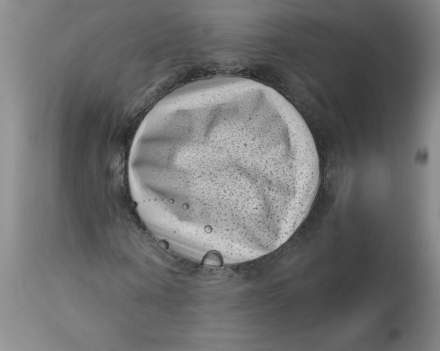 X0000113160866200909251349