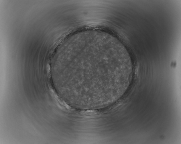 X0000113160868200909251349