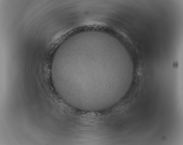 X0000113160869200909251349