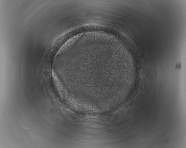 X0000113160870200909251349