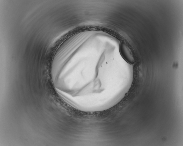 X0000113160872200909251349