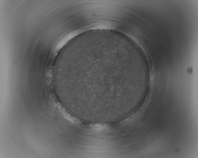 X0000113160874200909251349