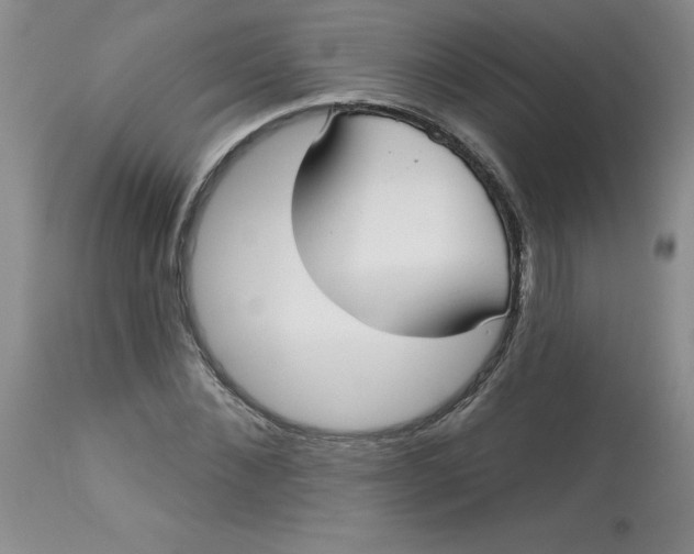 X0000113160876200909251349