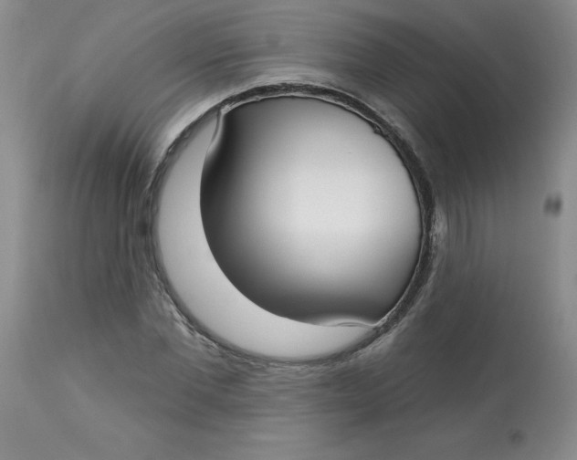 X0000113160877200909251349