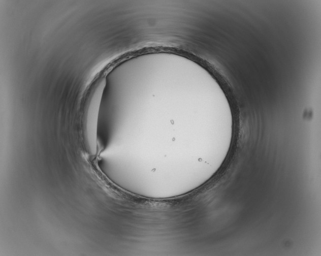 X0000113160878200909251349