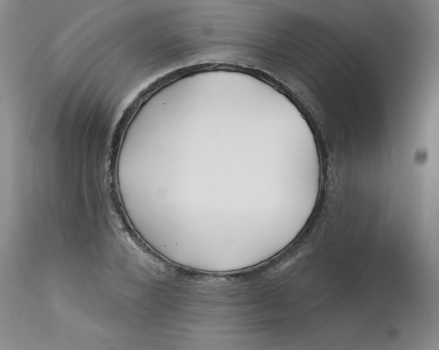 X0000113160880200909251349